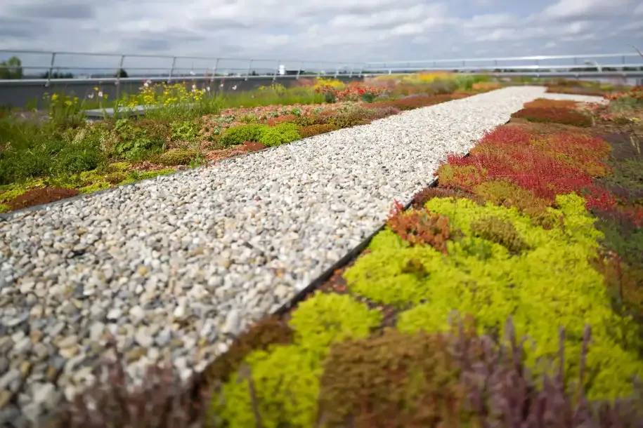 Et grønt tag med sedum