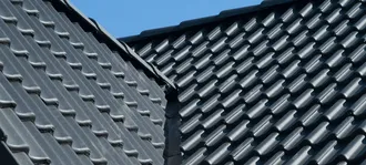 Vild forvandling med B&C 25 Aerlox, closeup