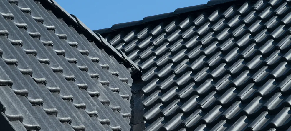 Vild forvandling med B&C 25 Aerlox, closeup